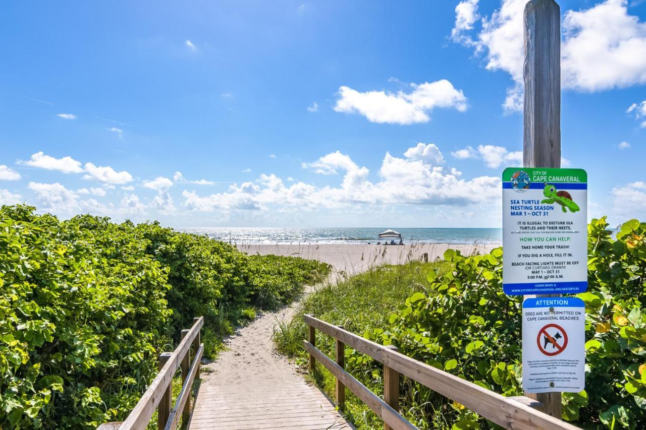 are dogs allowed on cape canaveral beach